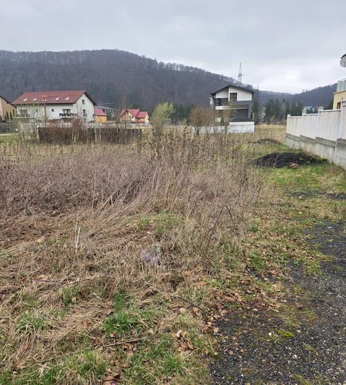Teren intravilan intre case în Bunloc, lângă pădure – 604 mp - 4