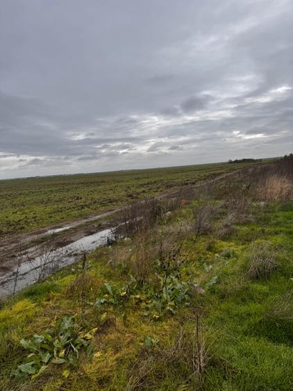 Teren intravilan construibil utilități la 20 metri - 2