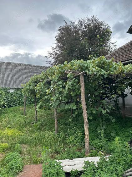 Vand casa Asuaju de Jos Maramure? - 6