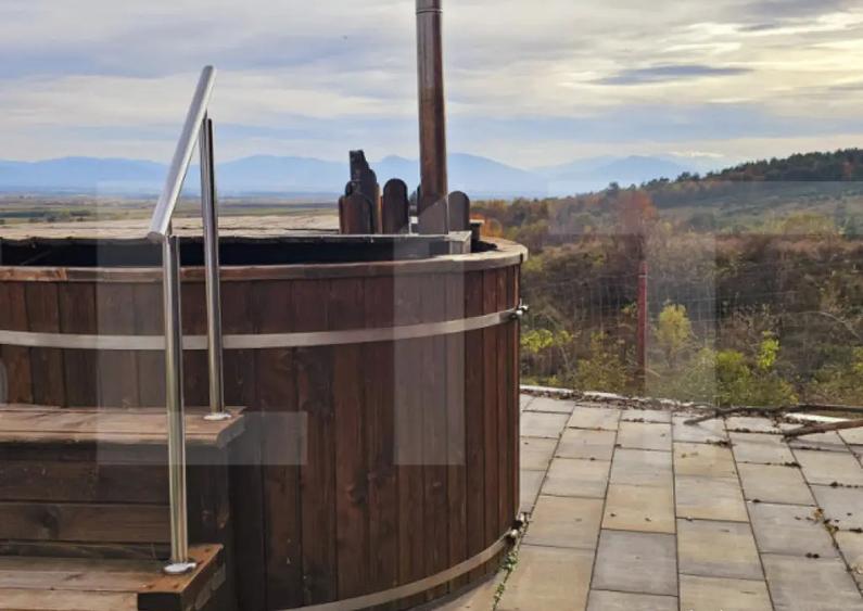 Casa de vanzare, sub padure, intr-un cadru natural deoseb - 5