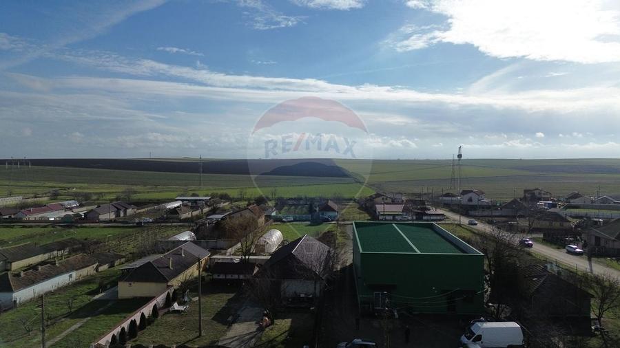 Hala industriala de vanzare in Poiana-Ovidiu - 3