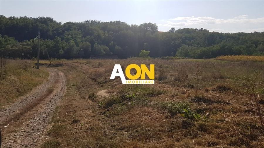 Teren intravilan Teleac cu toate utilitatile - 3