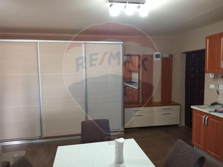 Apartament cu 2 camere de inchiriat in zona Malul Muresului - 10