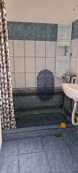 Vand casa modesta 2 camere Sanicolaul Mic - 6