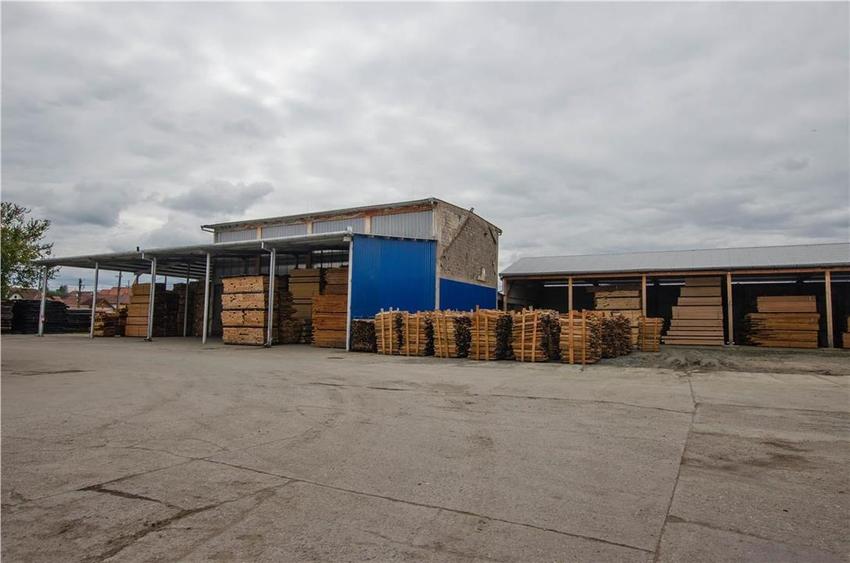 Complex industrial ?n Miercurea Sibiului,hale si 3,1 ha teren intravilan - 26