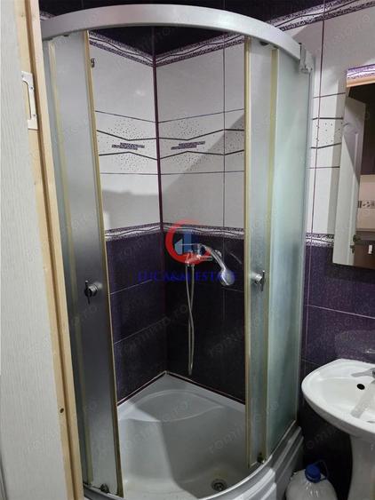 Investi #539;ie sigura 2 garsoniere independente Etaj 1 l #226;ng #259; Bega Bujorilor - 7