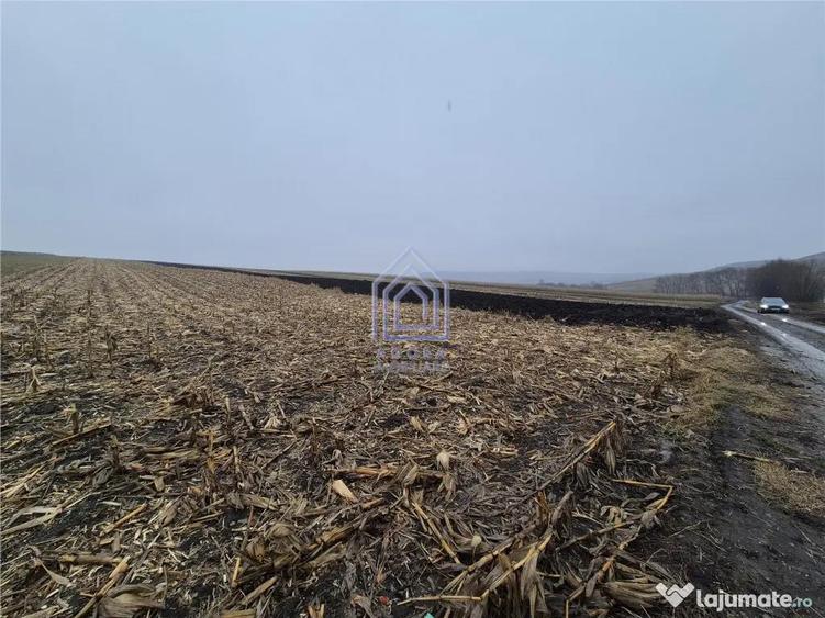 Teren intravilan Moara Carp - zona Ponoare - 2