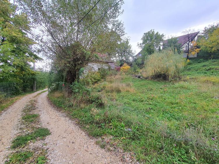 Teren rezidential Sacele zona de case - 2