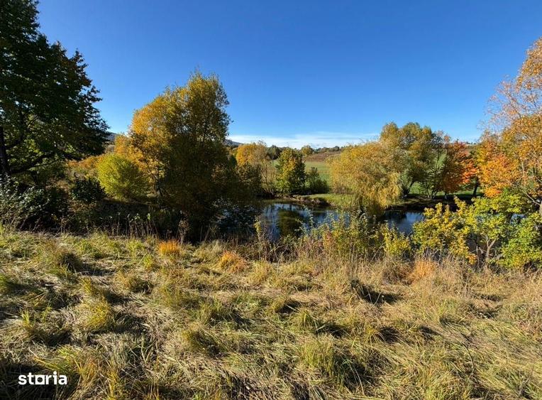 Teren de vanzare - Agapia, Neamt - 1