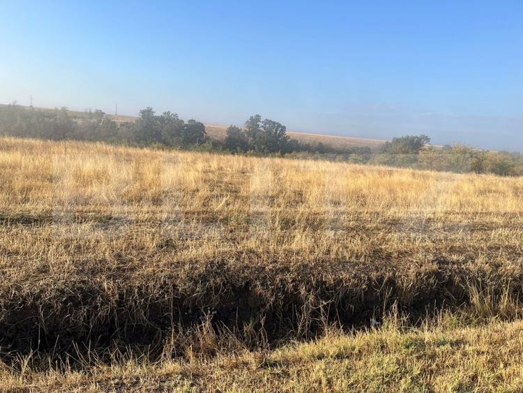 Teren extravilan, 2.500 mp, sat Sarbatoarea - 1