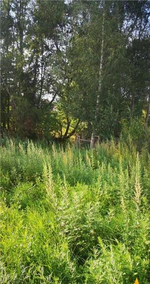 Proprietate autentica, stil traditional:Eco, cu parau pitore - 6