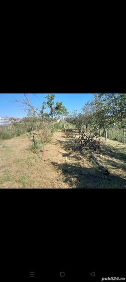 Casa Bocsa Romana de vanzare - 8