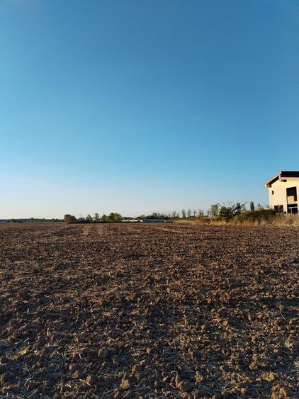 Ciolpani, spre Izvorani - COR, vanzare teren 5000mp. - 16