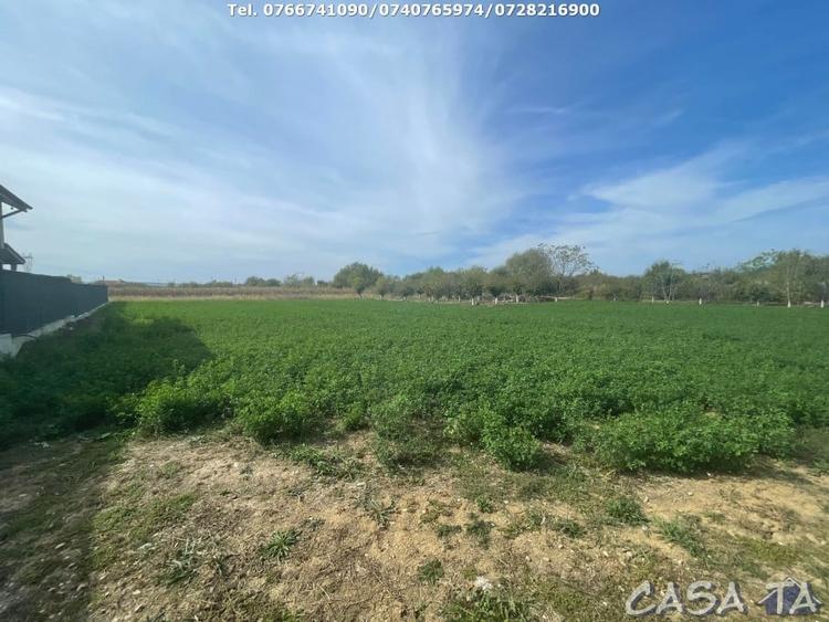 Teren Intravilan 1000 mp, Balesti - Ceauru - 5