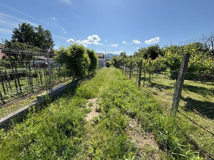 Teren Bujoreni Olteni - 3