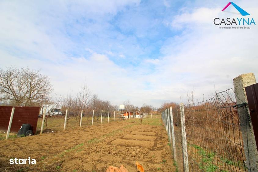 Casă cu 3 camere cu Teren 765 Mp în Letea Veche