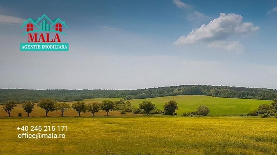 Teren Construcții intravilan de 1845 mp, în Ocnița