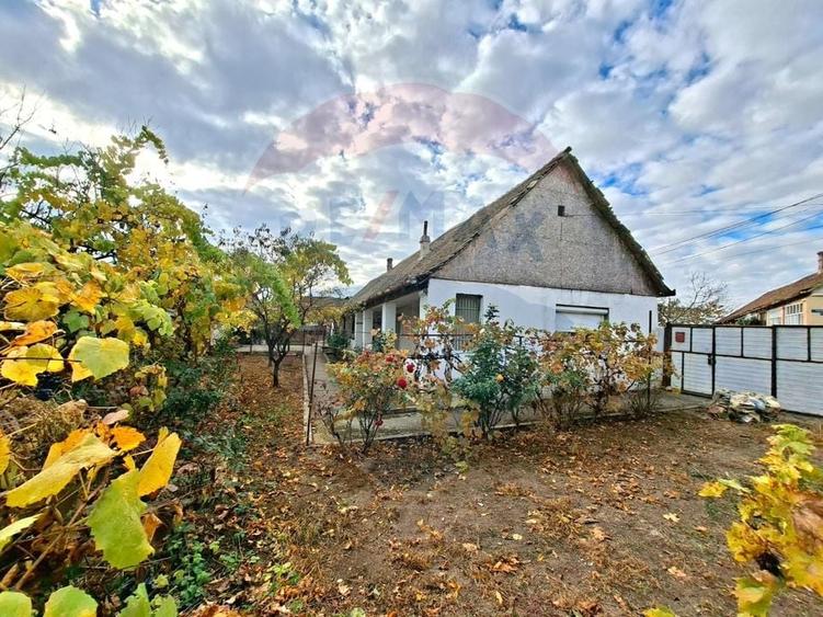 Casă individuală cu 2 camere cu Teren 929 Mp în Vladimirescu