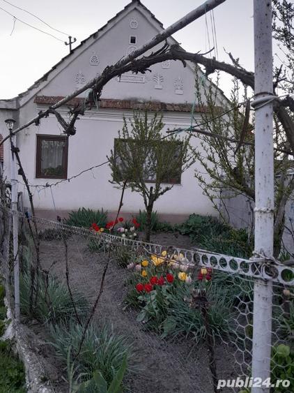 Casă cu 6 camere cu Teren 9000 Mp în Orăștioara de Jos