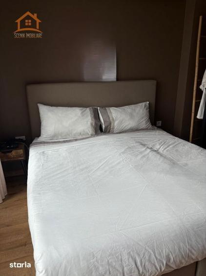 Apartament cu 3 camere decomandat, mobilat în Triaj