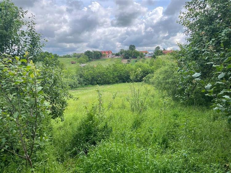 Casă individuală cu 3 camere cu Teren 1699 Mp în Honorici