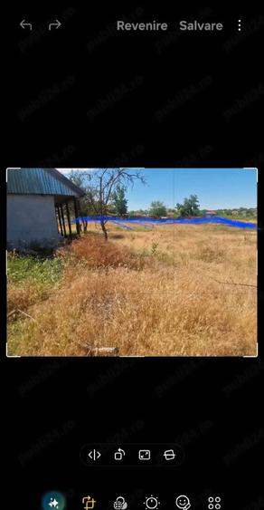 Casă cu Teren 3000 Mp în Dăeni