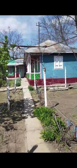 Vind casa la tara - 2