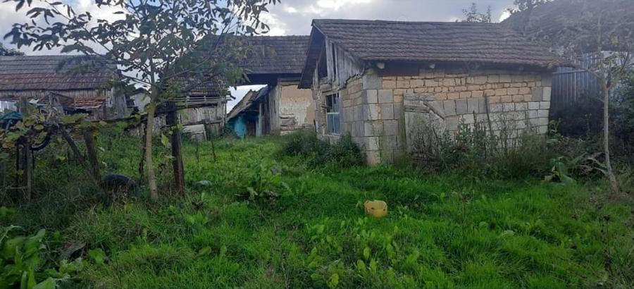 Casă cu 2 camere în Ceișoara