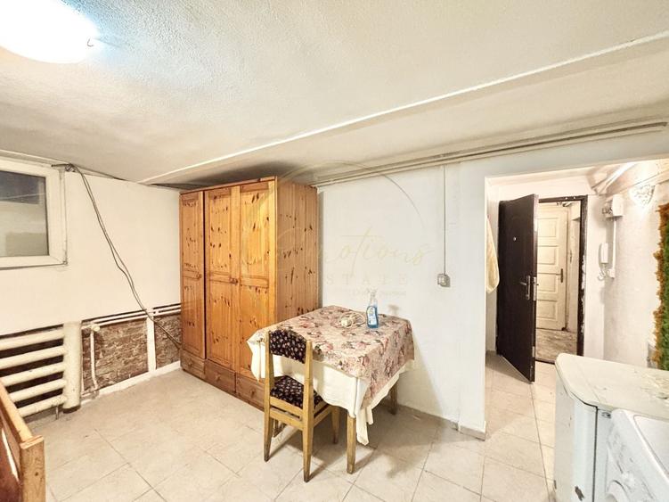 Apartament 1 camera - Take Ionescu DEMISOL - 3