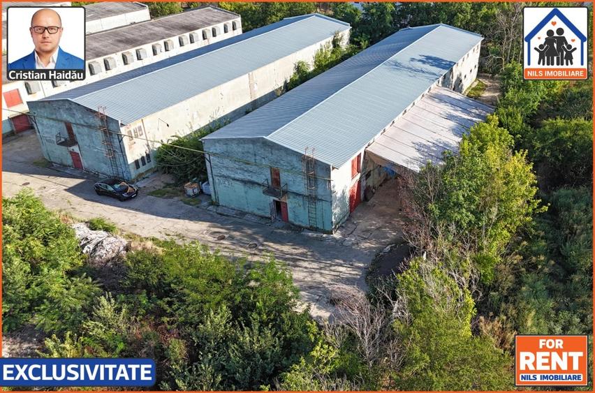 Hale de inchiriat in 1 Decembrie Ilfov | NILS Imobiliare - 2