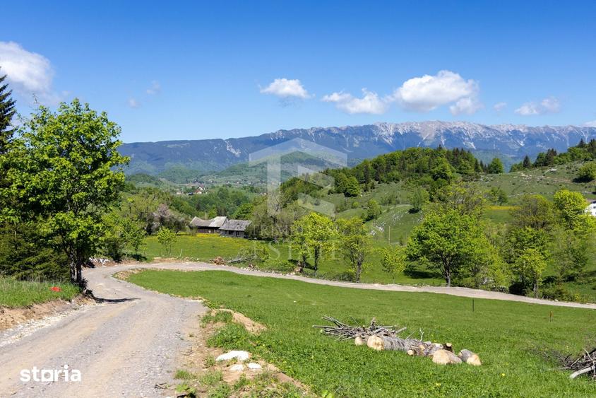 Teren de 15771 mp, în Fundata
