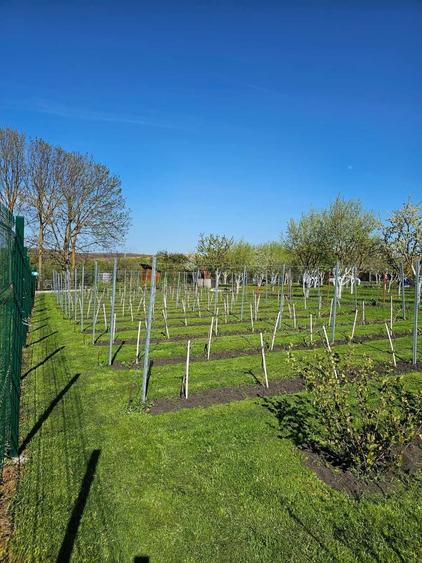 Spațiu comercial, în Tureni