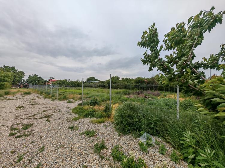 Teren agricol intravilan de 1000 mp, în Balotești