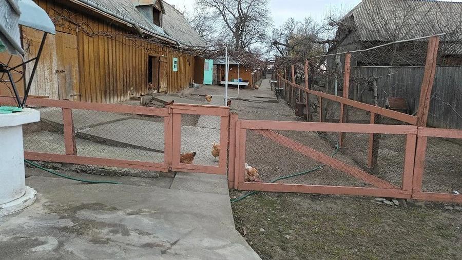 Casă cu 3 camere cu Teren 2000 Mp în Vulturești