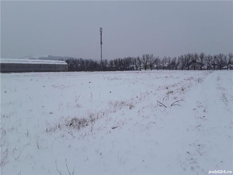 Teren de 7800 mp, în Central