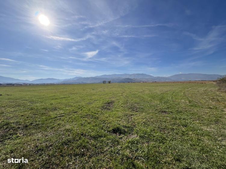 Teren de 28000 mp, în Central