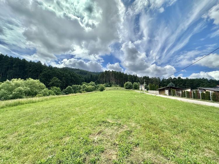 Teren Construcții intravilan de 3600 mp, în Poiana Angelescu