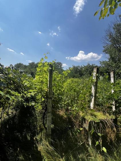 Casă cu 4 camere în Lipia