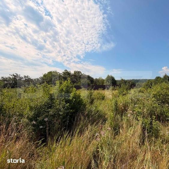 Teren de 3600 mp, în Central