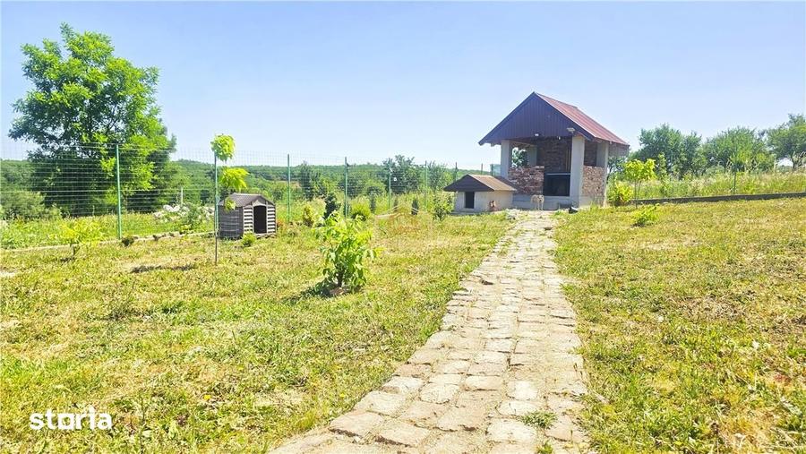 VIDEO | Loc de casa, cabana sau turism - Ardud | Vedere spre Satu Mare - 10