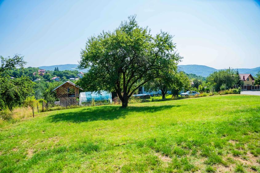 Teren de 1500 mp, în Vălenii de Munte