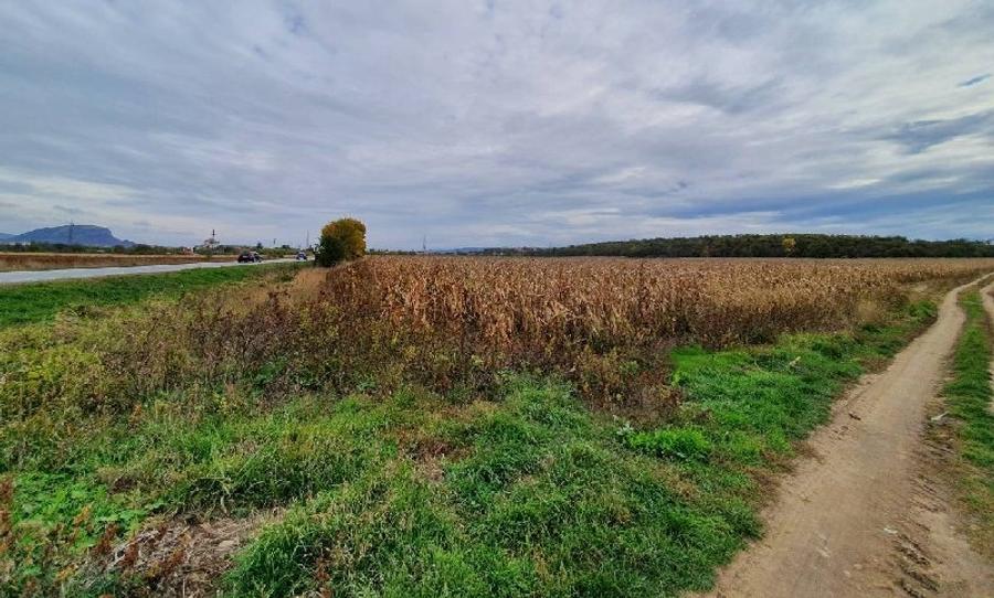 Teren agricol intravilan de 11791 mp, în Sântandrei
