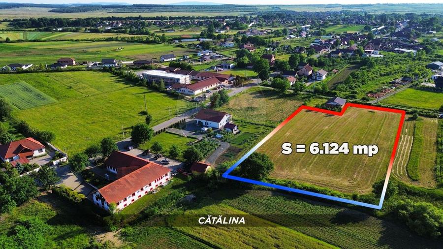 Teren Construcții intravilan de 6200 mp, în Coltău