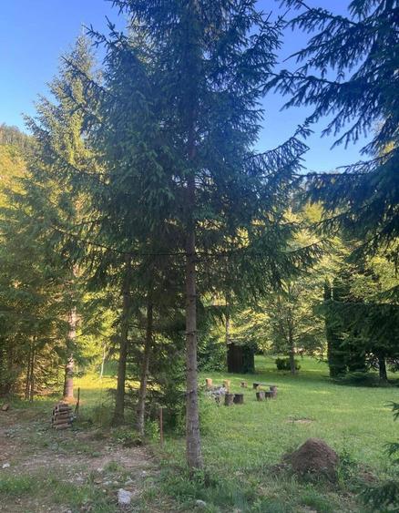 Casă individuală cu 3 camere cu Teren 1500 Mp în Valea Drăganului