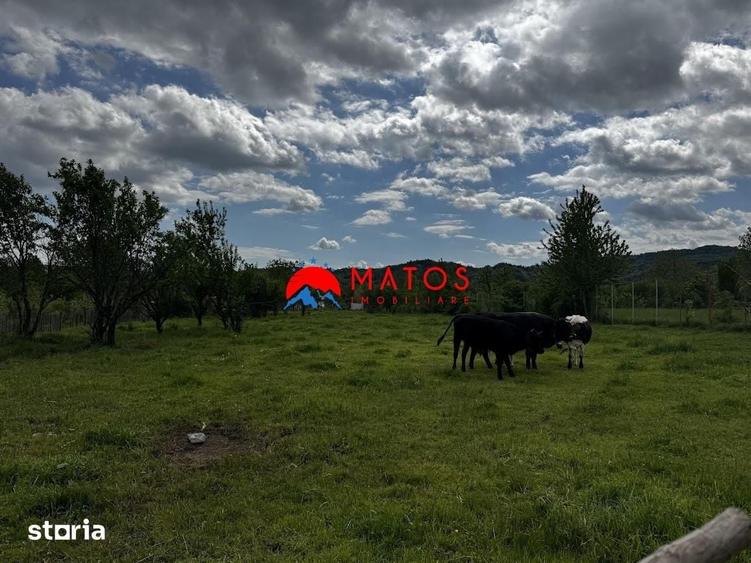 Teren de 5164 mp, în Brebu
