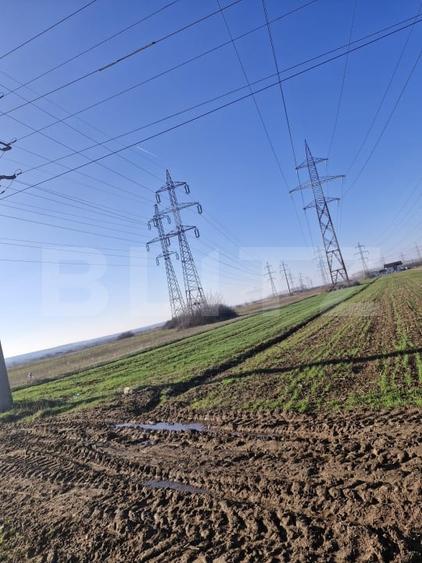 Teren agricol extravilan de 5000 mp, în Sud