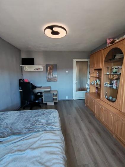 Apartament cu 2 camere decomandat, mobilat în Baia Sprie