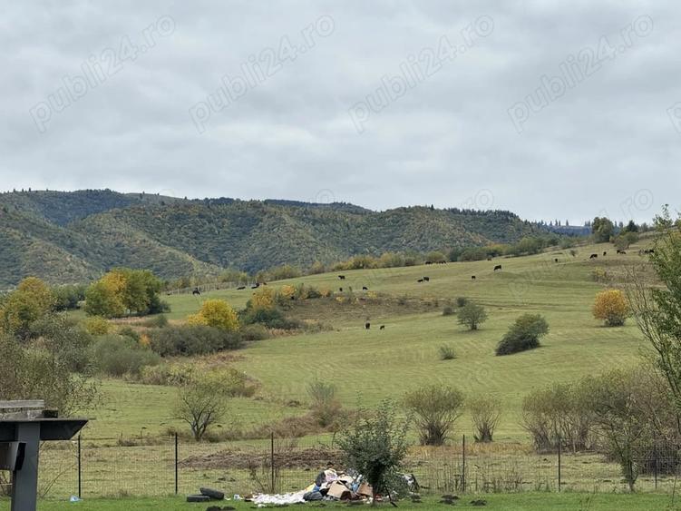 Teren de 2400 mp, în Orlat