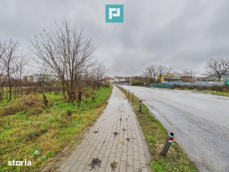 Teren de 4131 mp, în Pleșcuța