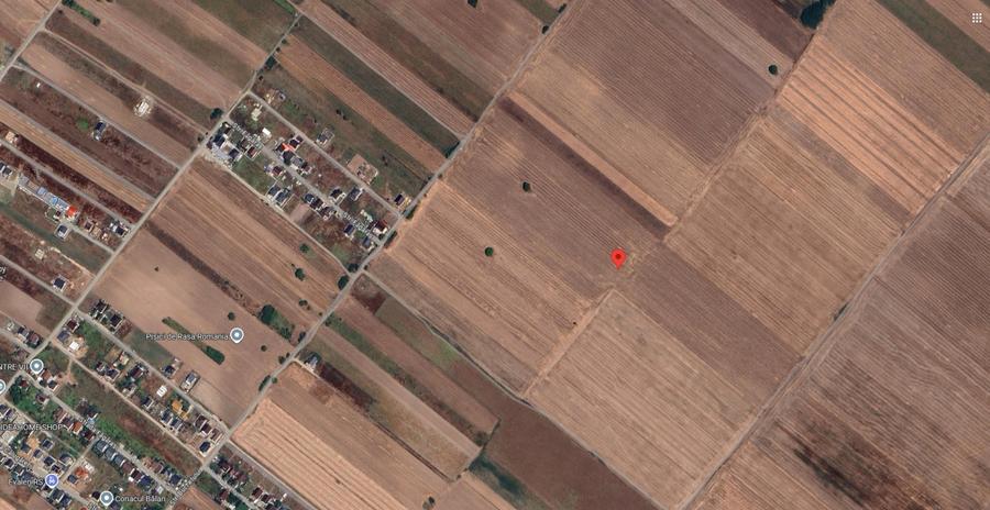 Teren agricol extravilan de 5901.419921875 mp, în Berceni